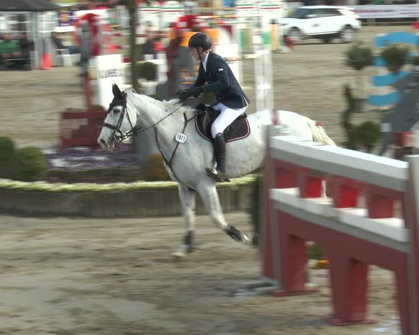 Lenklarer Reitertage 2016