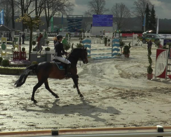 Reitturnier Werne-Lenklar 2016