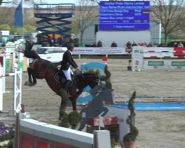 Reitturnier Werne-Lenklar 2016