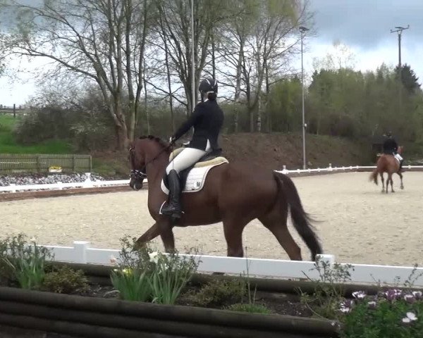 Frühjahrsturnier Mettmann - Reitanlage Löckenhoff 2016