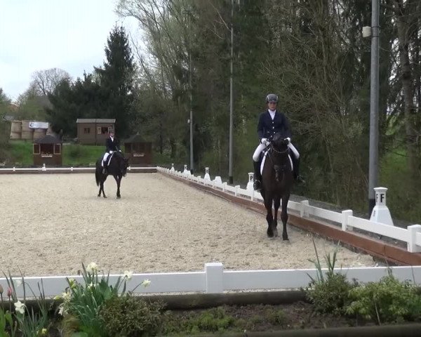 Frühjahrsturnier Mettmann - Reitanlage Löckenhoff 2016