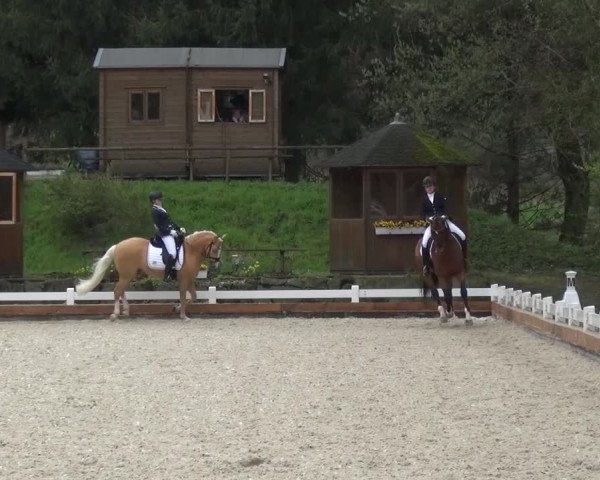 Frühjahrsturnier Mettmann - Reitanlage Löckenhoff 2016
