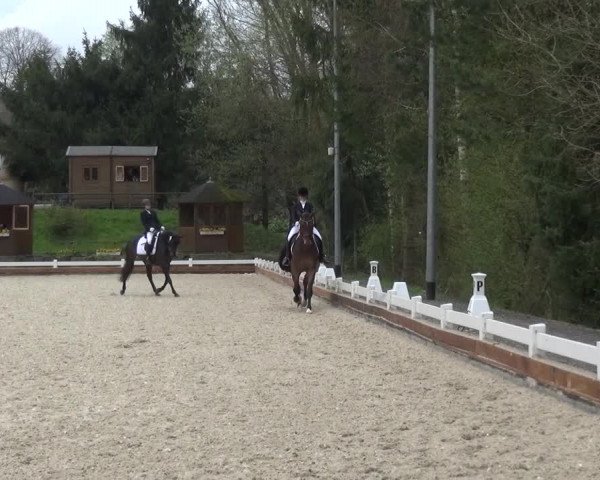 Frühjahrsturnier Mettmann - Reitanlage Löckenhoff 2016