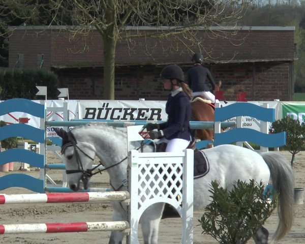 Lenklarer Reitertage 2016