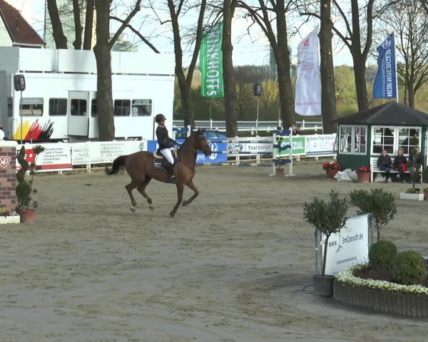 Lenklarer Reitertage 2016