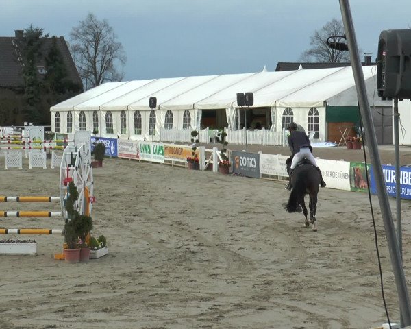 Reitturnier Werne-Lenklar 2016