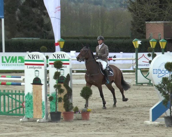 Reitturnier Werne-Lenklar 2016
