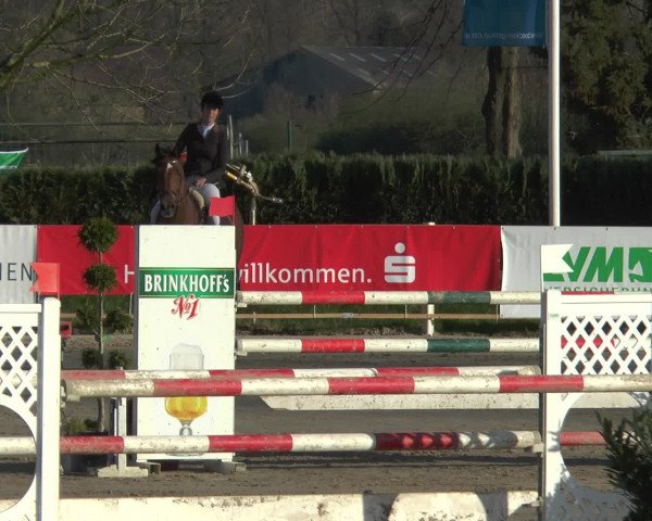 Reitturnier Werne-Lenklar 2016