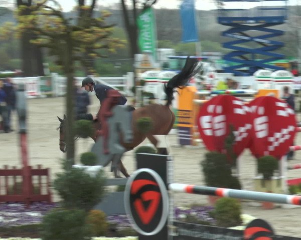Lenklarer Reitertage 2016