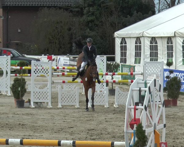 Lenklarer Reitertage 2016