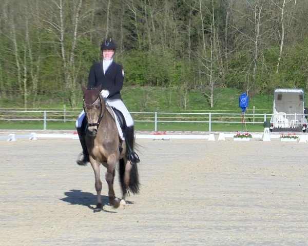 Reitturnier Vechta 2016