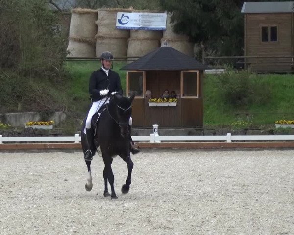 Frühjahrsturnier Mettmann - Reitanlage Löckenhoff 2016