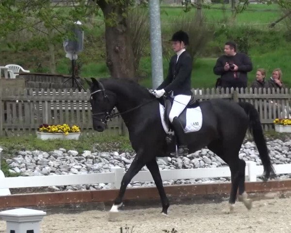 Frühjahrsturnier Mettmann - Reitanlage Löckenhoff 2016