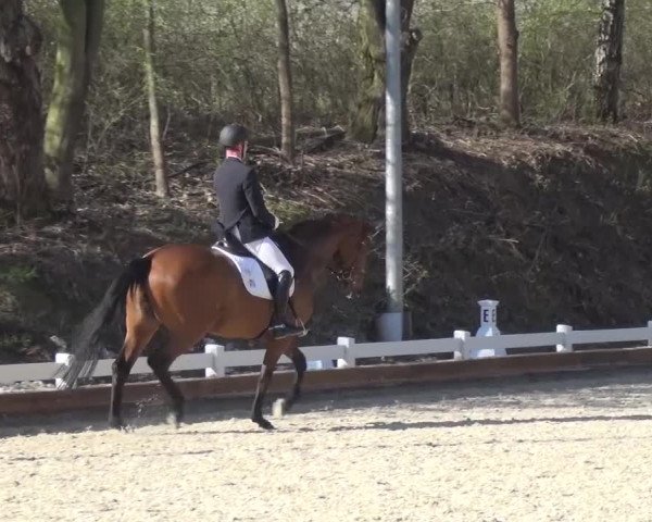 Frühjahrsturnier Mettmann - Reitanlage Löckenhoff 2016