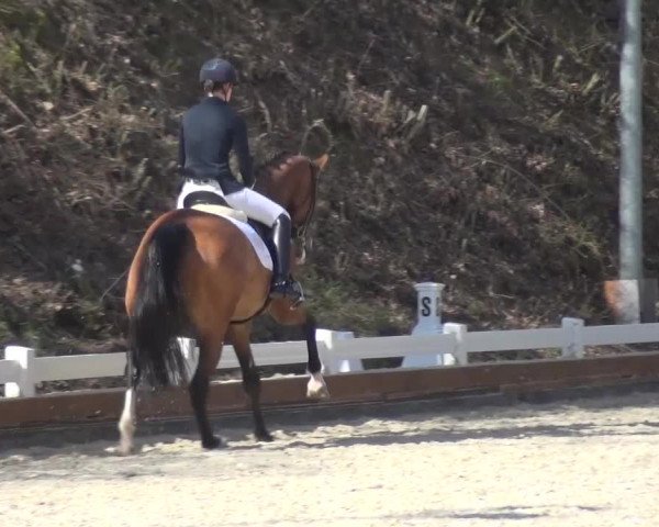 Frühjahrsturnier Mettmann - Reitanlage Löckenhoff 2016