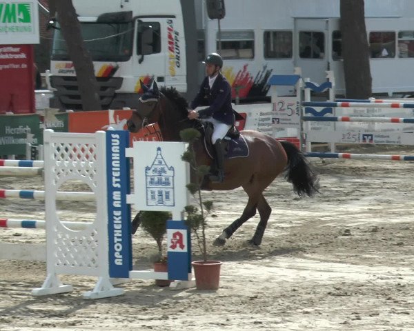 Lenklarer Reitertage 2016