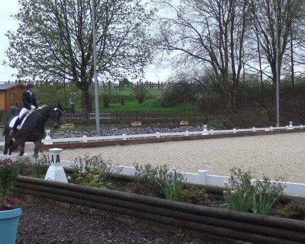 Frühjahrsturnier Mettmann - Reitanlage Löckenhoff 2016