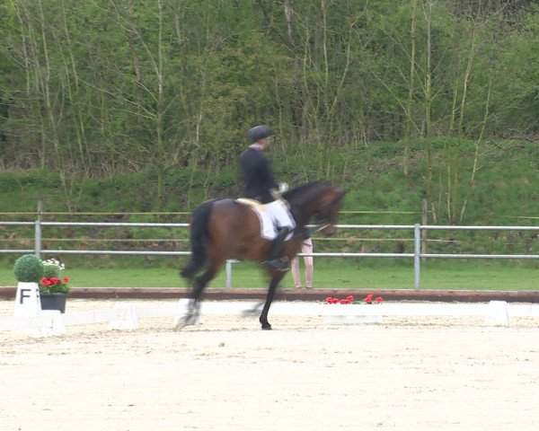 Reitturnier Vechta 2016
