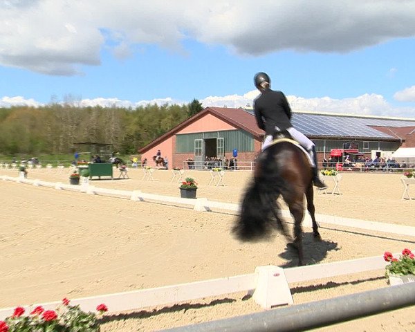 Reitturnier Vechta 2016