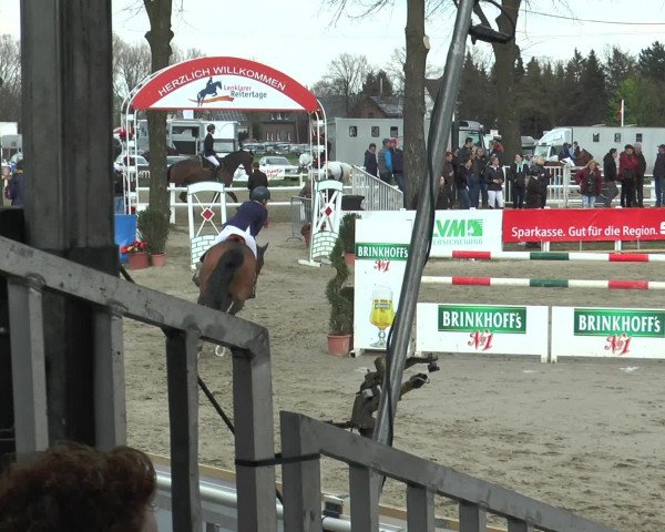 Lenklarer Reitertage 2016