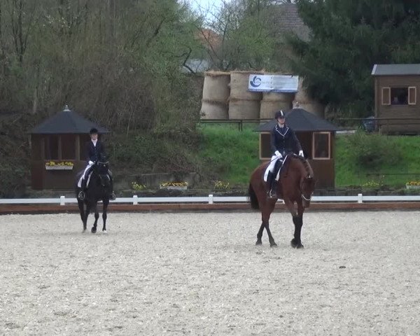 Frühjahrsturnier Mettmann - Reitanlage Löckenhoff 2016