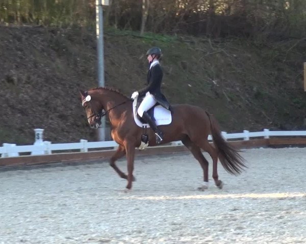 Frühjahrsturnier Mettmann - Reitanlage Löckenhoff 2016