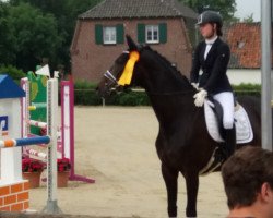 Dressurpferd Sieshof's Fürstenrock (Rheinländer, 2014, von Fürstenball)