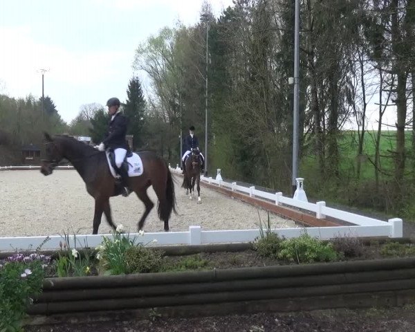 Frühjahrsturnier Mettmann - Reitanlage Löckenhoff 2016