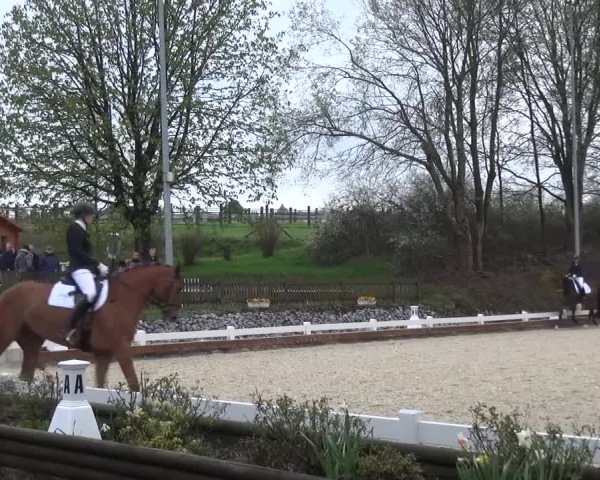 Frühjahrsturnier Mettmann - Reitanlage Löckenhoff 2016