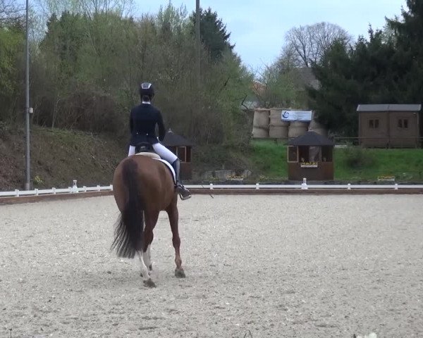 Frühjahrsturnier Mettmann - Reitanlage Löckenhoff 2016
