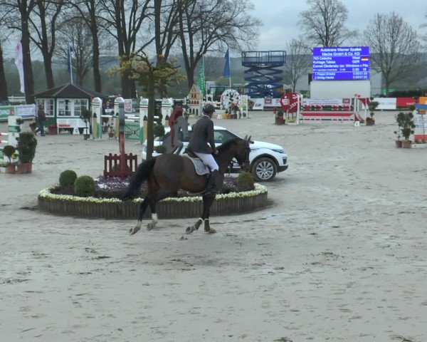 Reitturnier Werne-Lenklar 2016