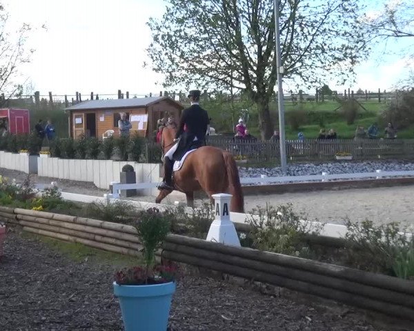 Frühjahrsturnier Mettmann - Reitanlage Löckenhoff 2016