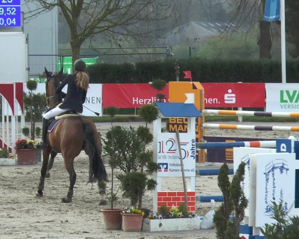 Lenklarer Reitertage 2016