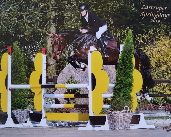 jumper Canada M (Oldenburg, 2013, from Clay)