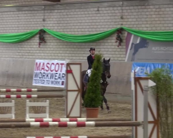 Reitturnier Leverkusen-Rheindorf 2016