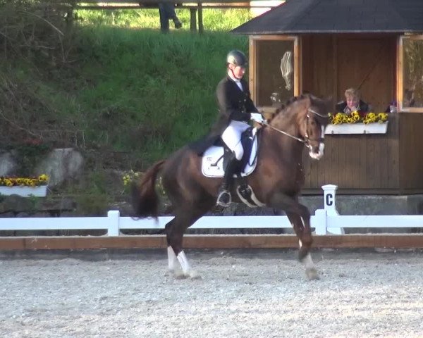 Frühjahrsturnier Mettmann - Reitanlage Löckenhoff 2016