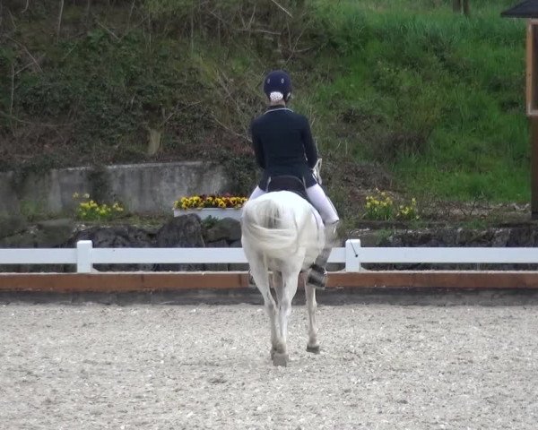 Frühjahrsturnier Mettmann - Reitanlage Löckenhoff 2016