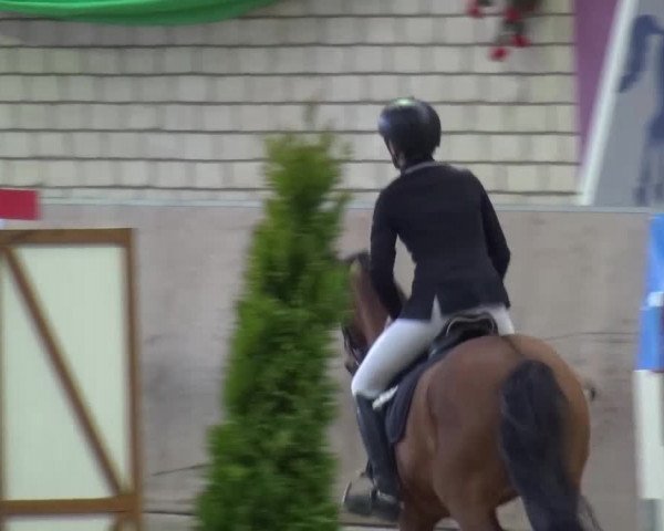 Reitturnier Leverkusen-Rheindorf 2016