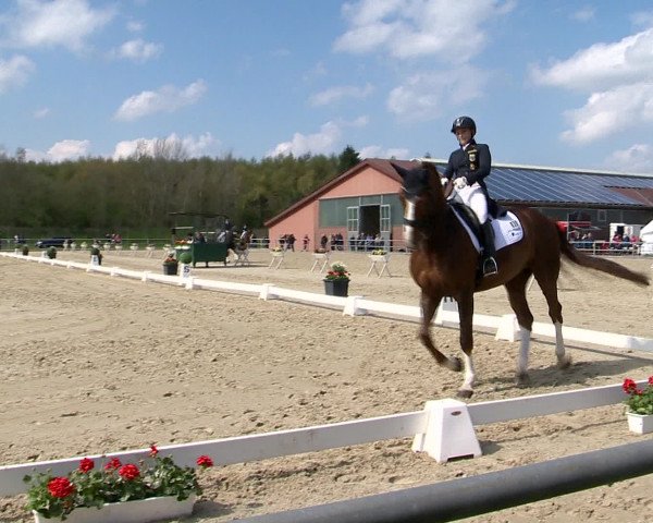 Reitturnier Vechta 2016