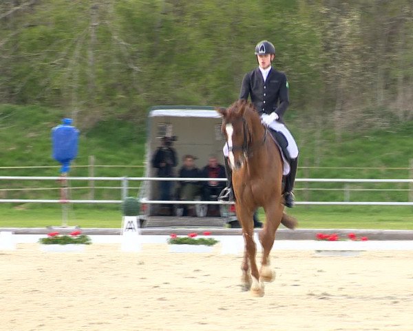 Reitturnier Vechta 2016