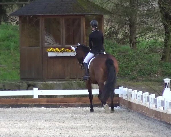 Frühjahrsturnier Mettmann - Reitanlage Löckenhoff 2016