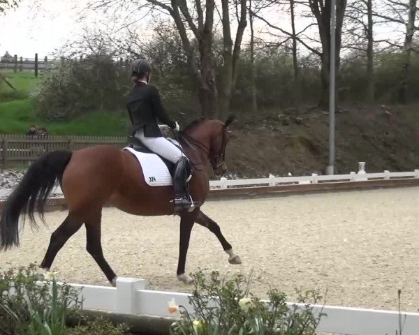 Frühjahrsturnier Mettmann - Reitanlage Löckenhoff 2016