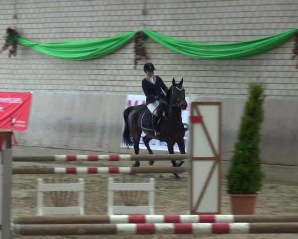 Reitturnier Leverkusen-Rheindorf 2016