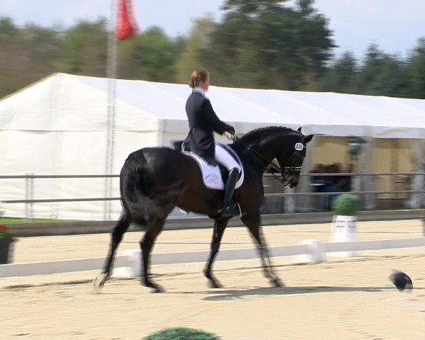 Reitturnier Vechta 2016