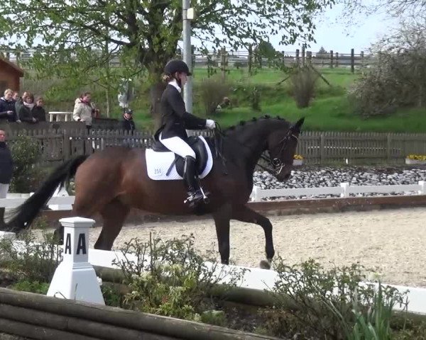 Frühjahrsturnier Mettmann - Reitanlage Löckenhoff 2016