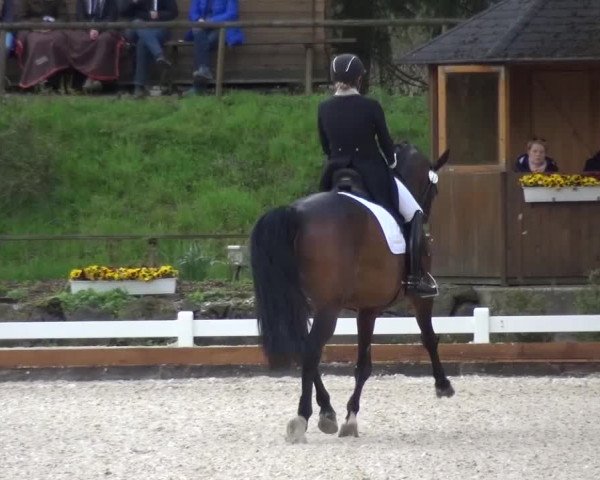 Frühjahrsturnier Mettmann - Reitanlage Löckenhoff 2016