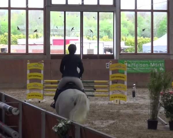 Reitturnier Leverkusen-Rheindorf 2016