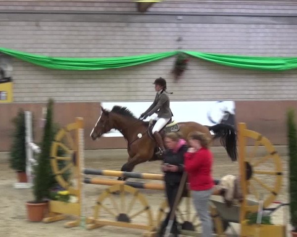 Reitturnier Leverkusen-Rheindorf 2016