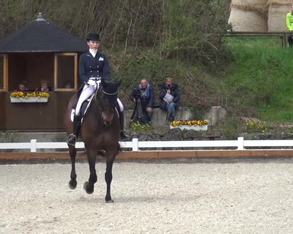 Frühjahrsturnier Mettmann - Reitanlage Löckenhoff 2016