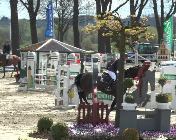 Lenklarer Reitertage 2016